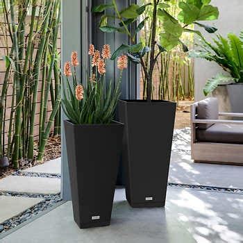 Veradek planters costco - Trees are an essential part of our environment, providing us with oxygen, shade, and natural beauty. Planting trees is a great way to help the environment and improve your landscape.